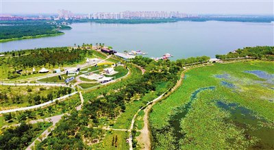 绿色生态屏障：津滨双城间736平方公里铺展